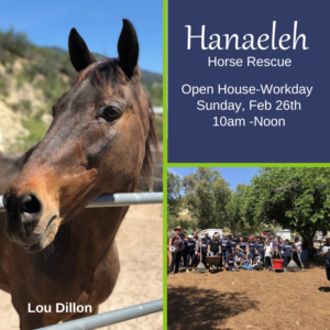 hanaeleh-open-house-workday-sunday-2-26-23-1